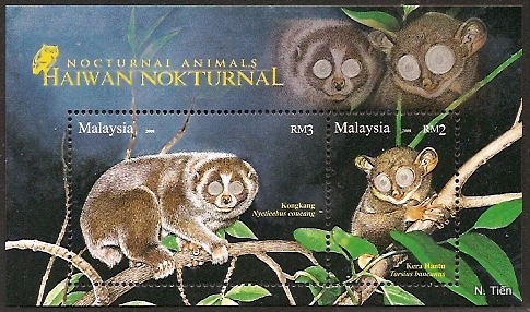 Name:  Malaysia-Noctural Animals-13-3-08.jpg
Views: 667
Size:  115.1 KB