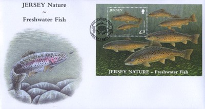 Name:  2c-fdc fresh water fish - b4.0.jpeg
Views: 414
Size:  24.9 KB