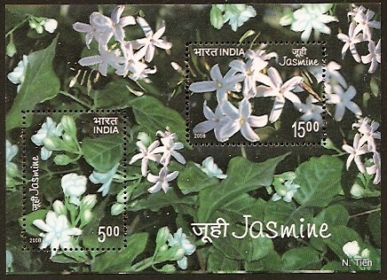 Name:  India-Jasmine-26-4-08.jpg
Views: 652
Size:  126.0 KB