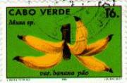 Name:  stamp-banana-180x118.jpg
Views: 204
Size:  6.0 KB