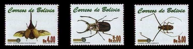 Name:  bolivia 1.jpg
Views: 1065
Size:  57.7 KB