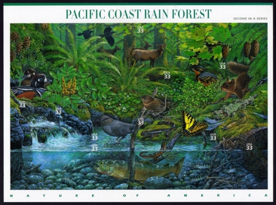 Name:  02-Pacific Coast Rain Forest.JPEG
Views: 738
Size:  233.9 KB