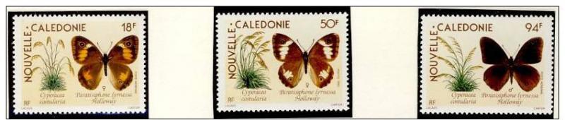 Name:  18- NEW CALEDONIA 1990 BUTTERFLIES MNH - 80k.jpg
Views: 528
Size:  30.2 KB