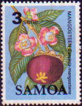 Name:  mang cut samoa.jpg
Views: 1110
Size:  144.5 KB