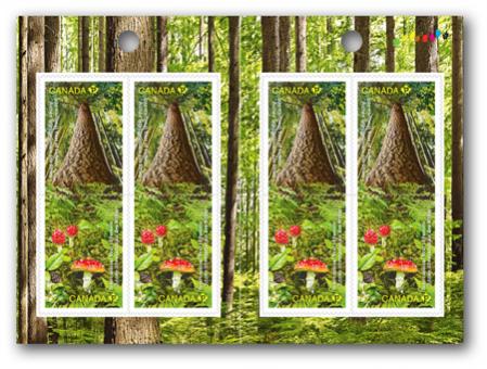 Name:  2011_international_year_of_forests_booklet.jpg
Views: 324
Size:  43.5 KB