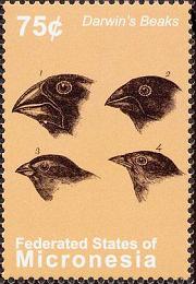 Name:  Darwin's beaks -!- mic200911l.jpg
Views: 257
Size:  13.0 KB