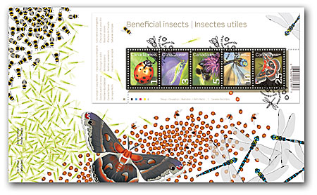 Name:  2007_insects_OFDC.jpg
Views: 594
Size:  85.1 KB